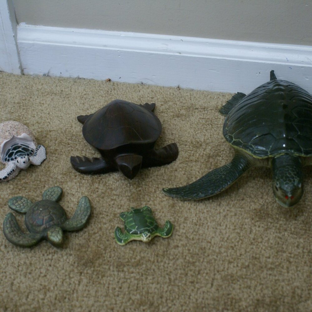 5-Piece Sea Turtle Collection Figures Figurines Turtles Various Materials Colors